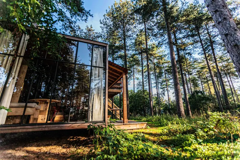 Pavillon de verre entre de grands pins